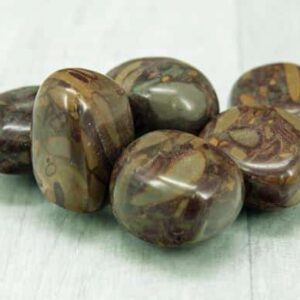 Bamboo Leaf Jasper