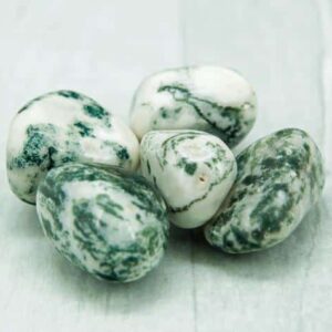 Tree Agate