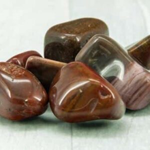 Petrified Wood.