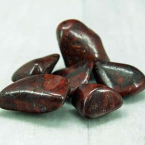 Mary Ellen Stromatolite