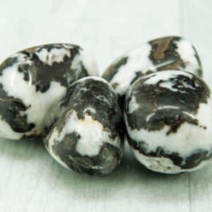 Zebra Jasper