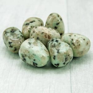 Kiwi Jasper
