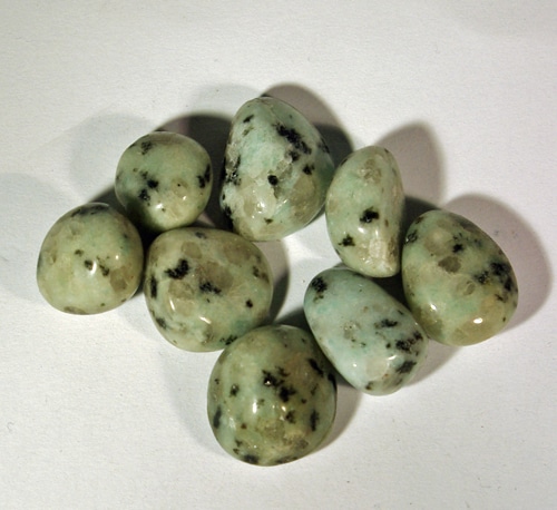 Kiwi Jasper