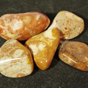 Birds Eye Jasper