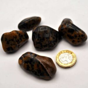 Cheetah Agate