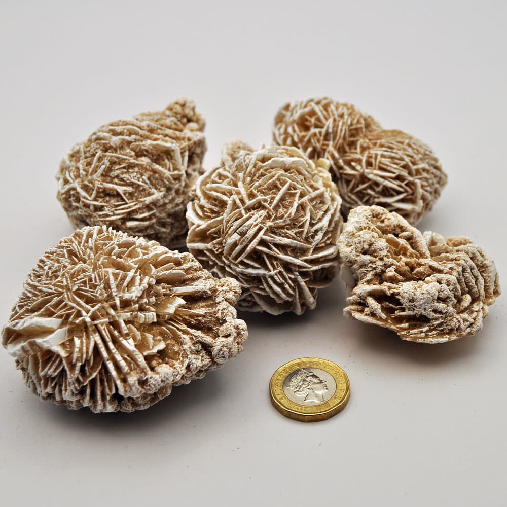 Large Selenite Desert Rose