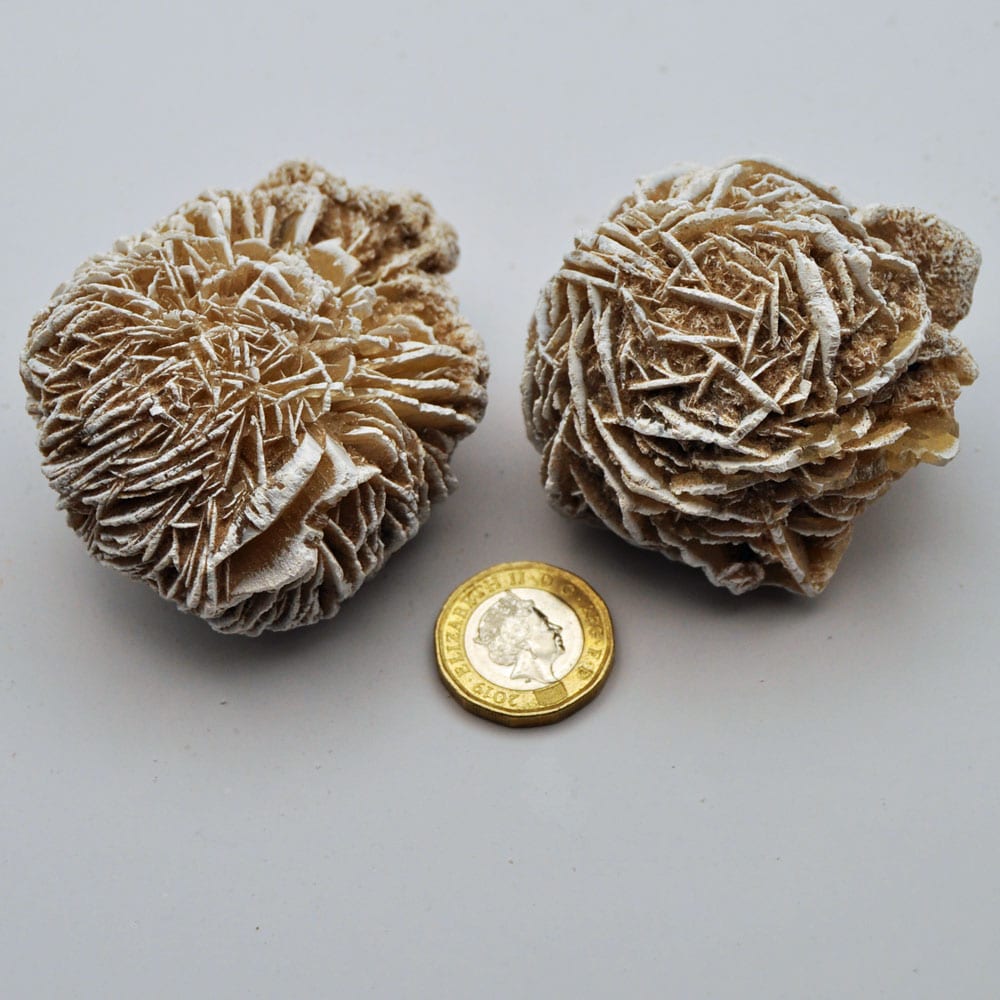 Large Desert Rose